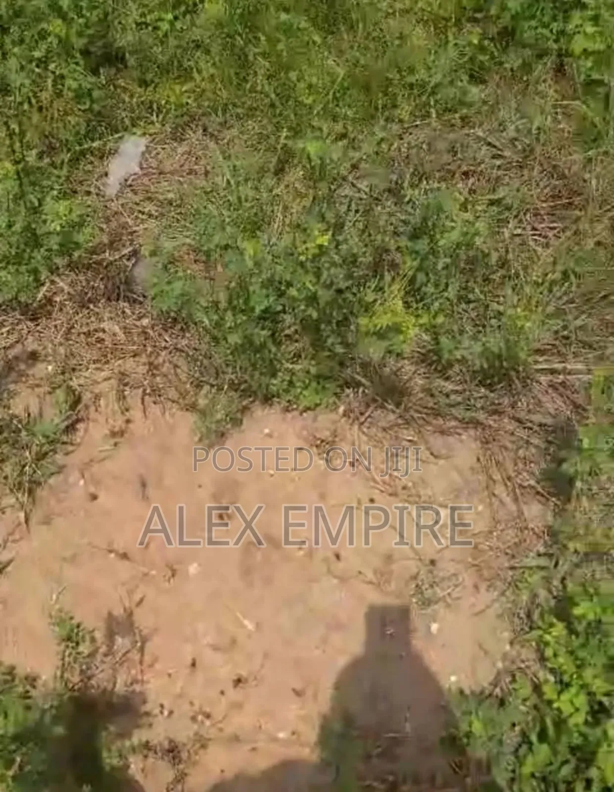 Half Plot of Land for Sale in Whitesand Bucknor