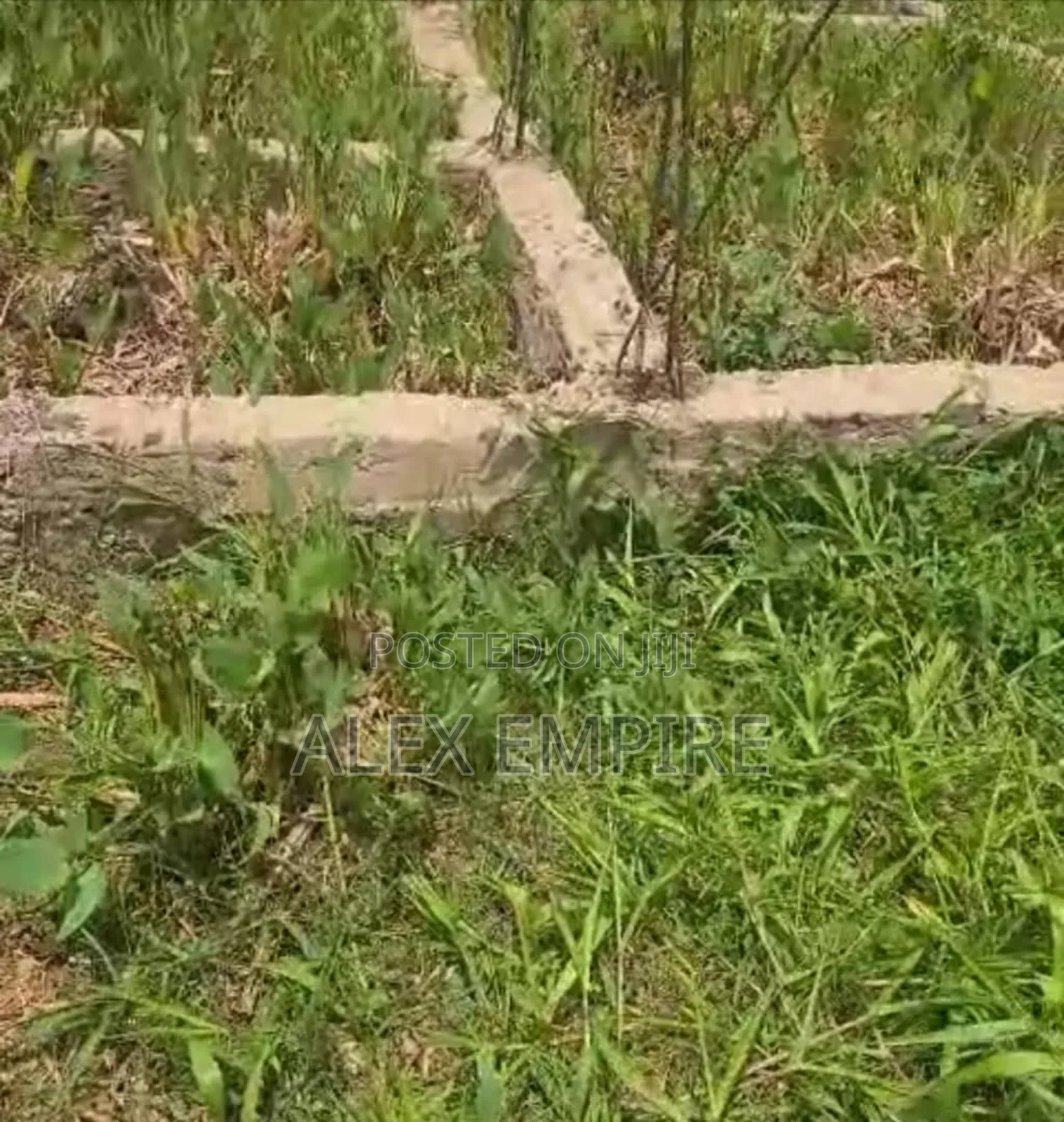 Half Plot of Land for Sale in Whitesand Bucknor