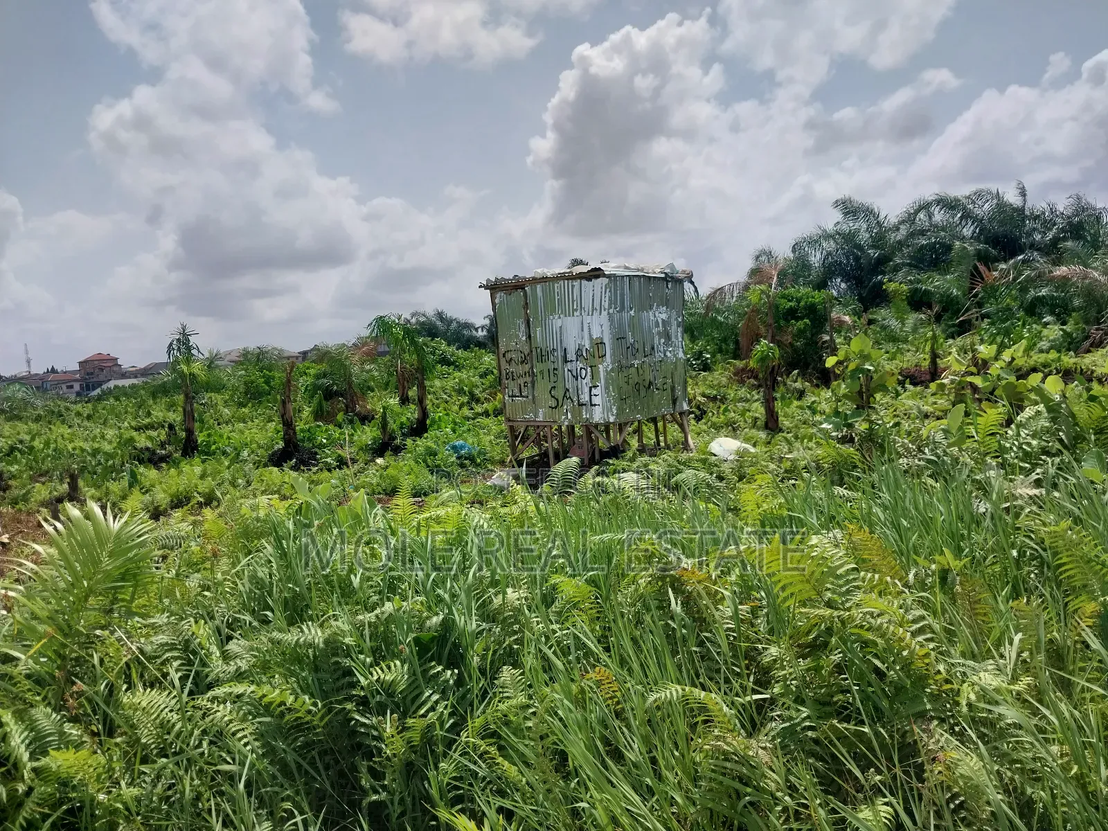 KLMS of Genuine Farmland 4 Sale Odeda Ogun State