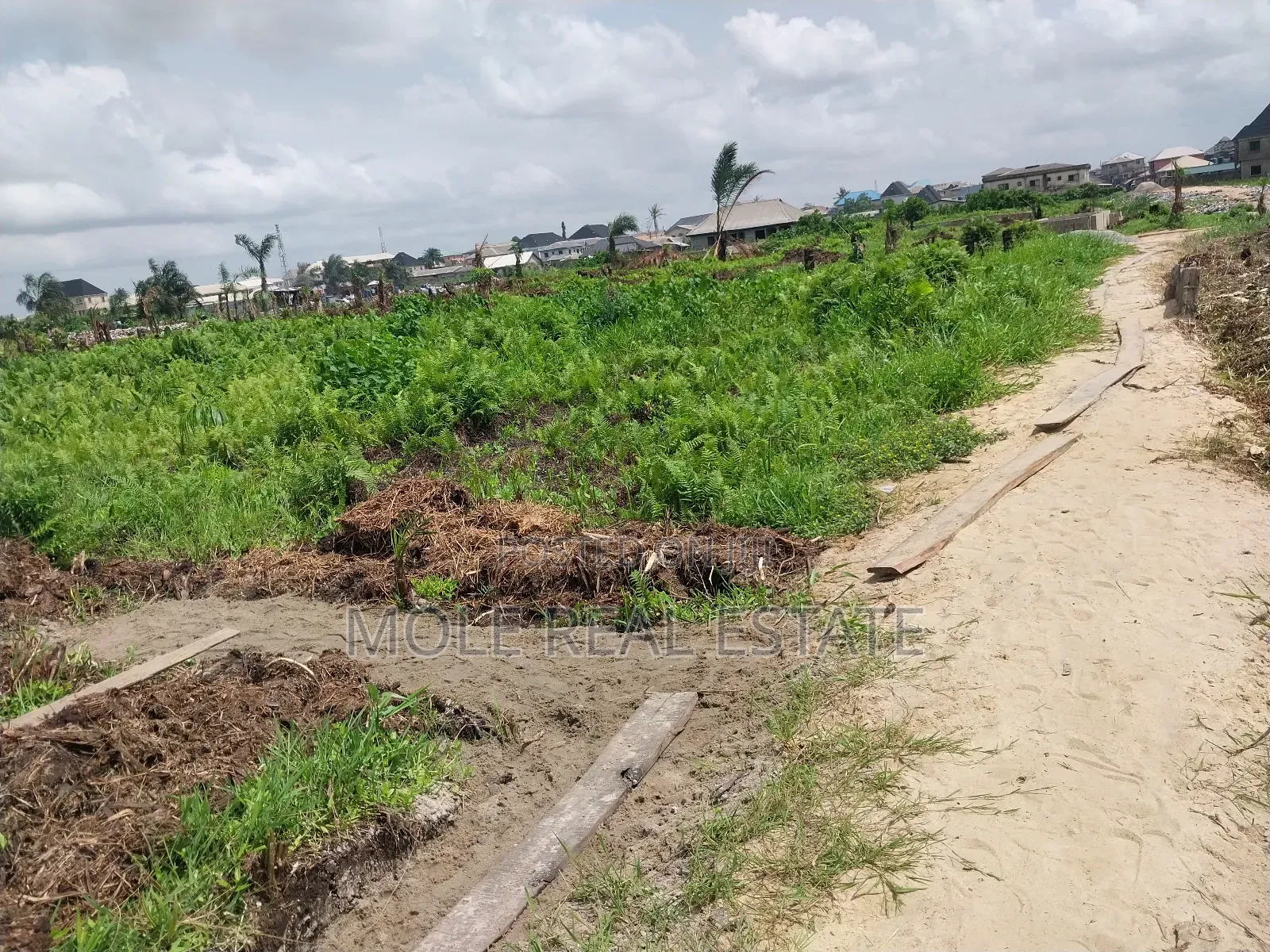 KLMS of Genuine Farmland 4 Sale Odeda Ogun State