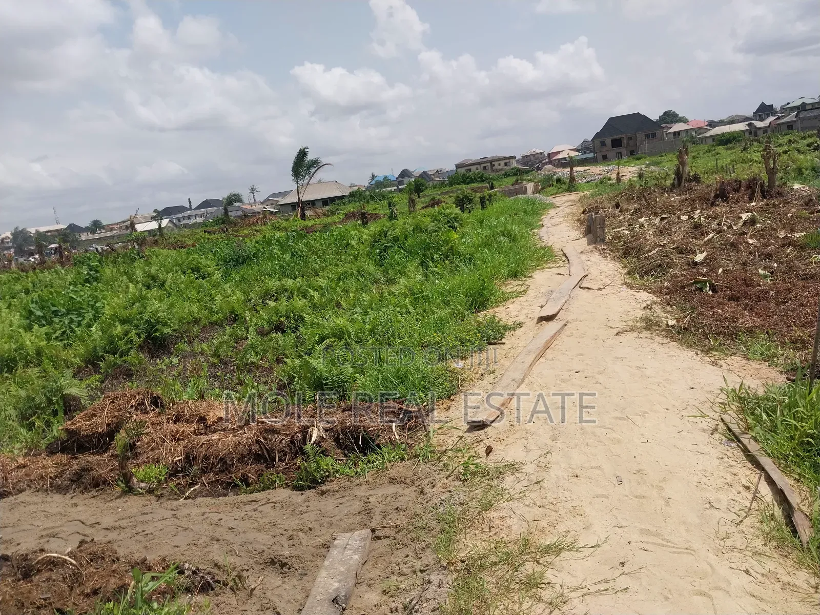 KLMS of Genuine Farmland 4 Sale Odeda Ogun State