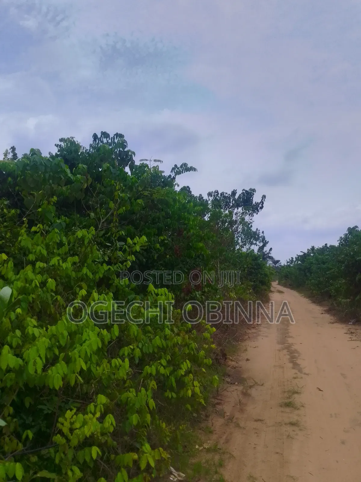 Distress 3 Plots of Genuine Land for Sale at Ulakwo Etche
