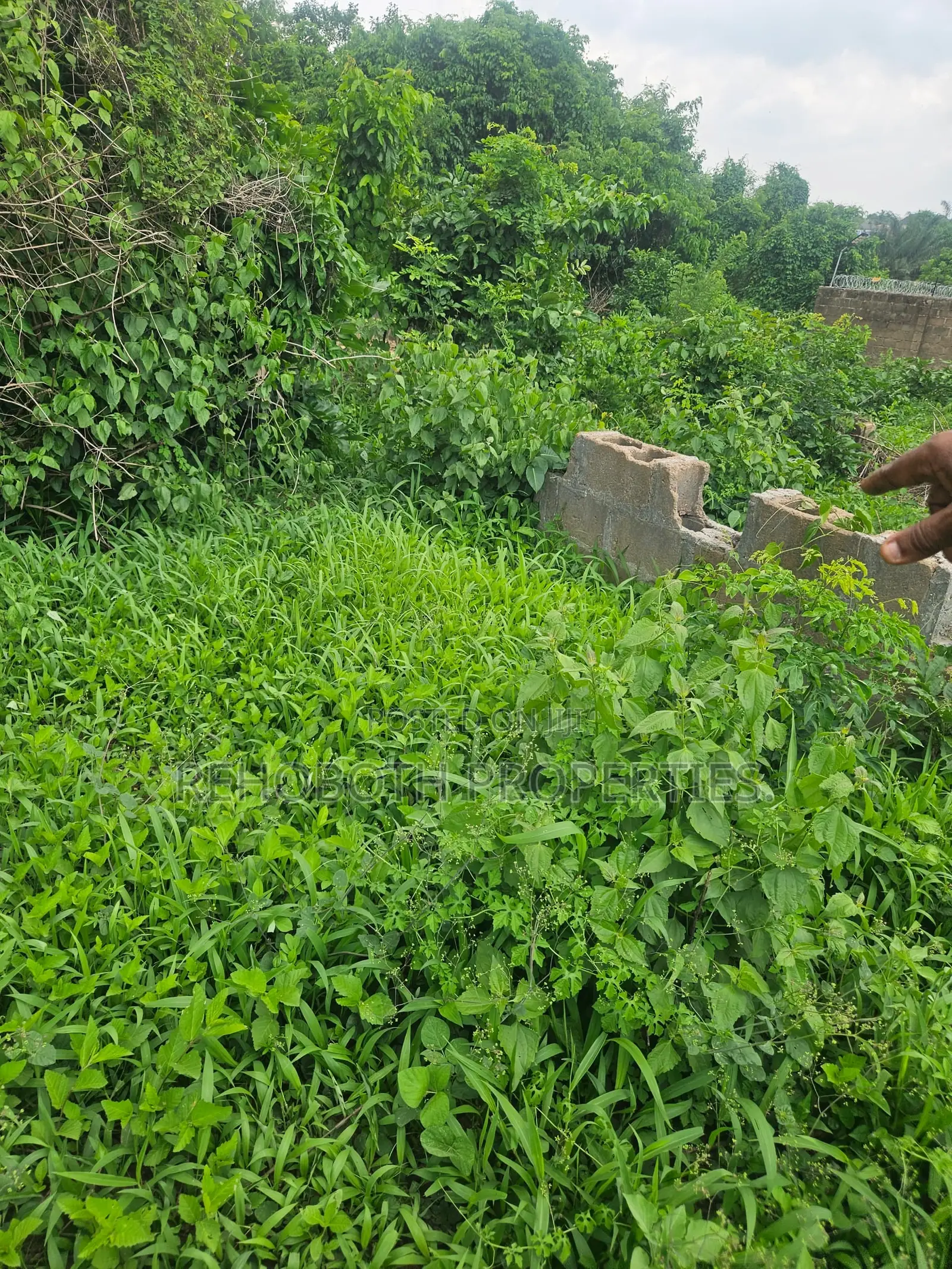 2plot of Land at Akogi Jankanta for Sales