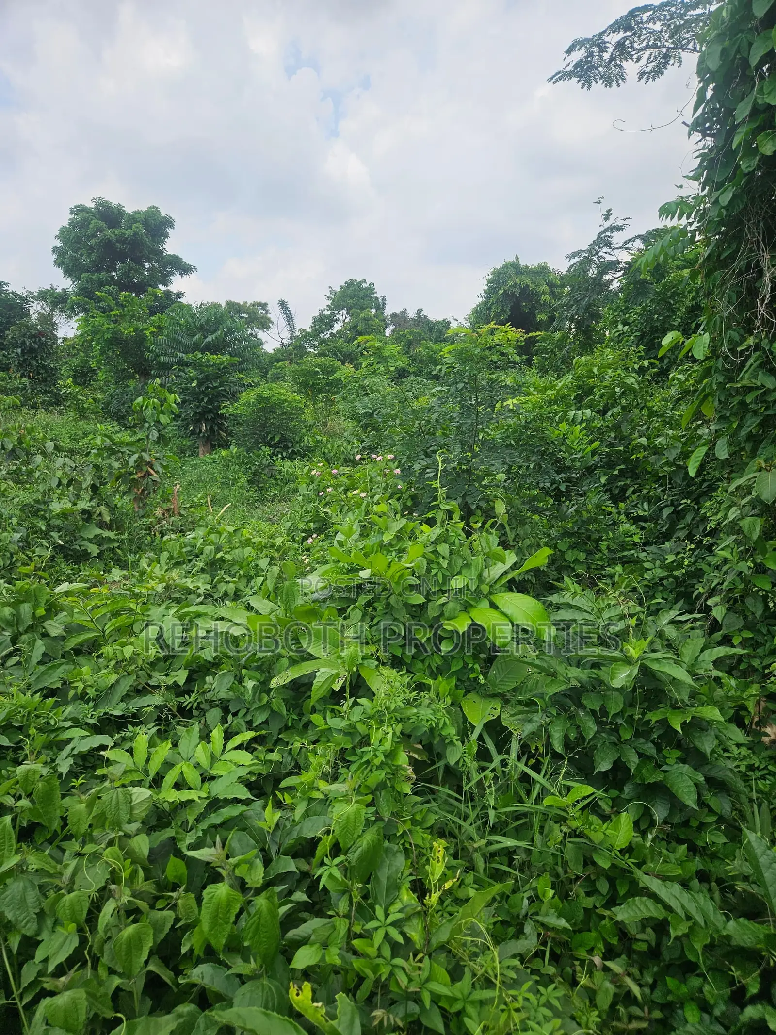 2plot of Land at Akogi Jankanta for Sales