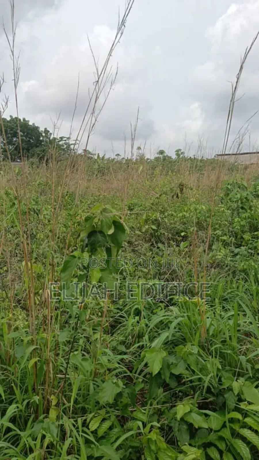 9 Half Plot of Land for Sale at Ofada Facing Major Road.