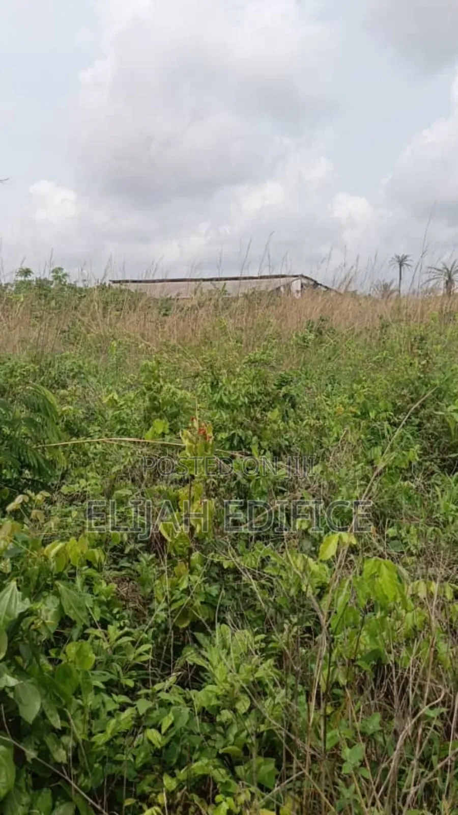 9 Half Plot of Land for Sale at Ofada Facing Major Road.