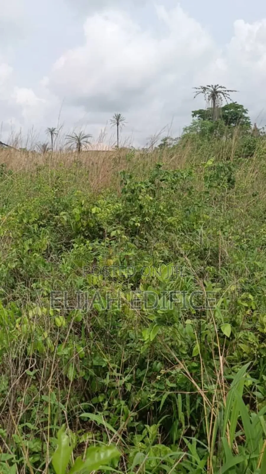 9 Half Plot of Land for Sale at Ofada Facing Major Road.