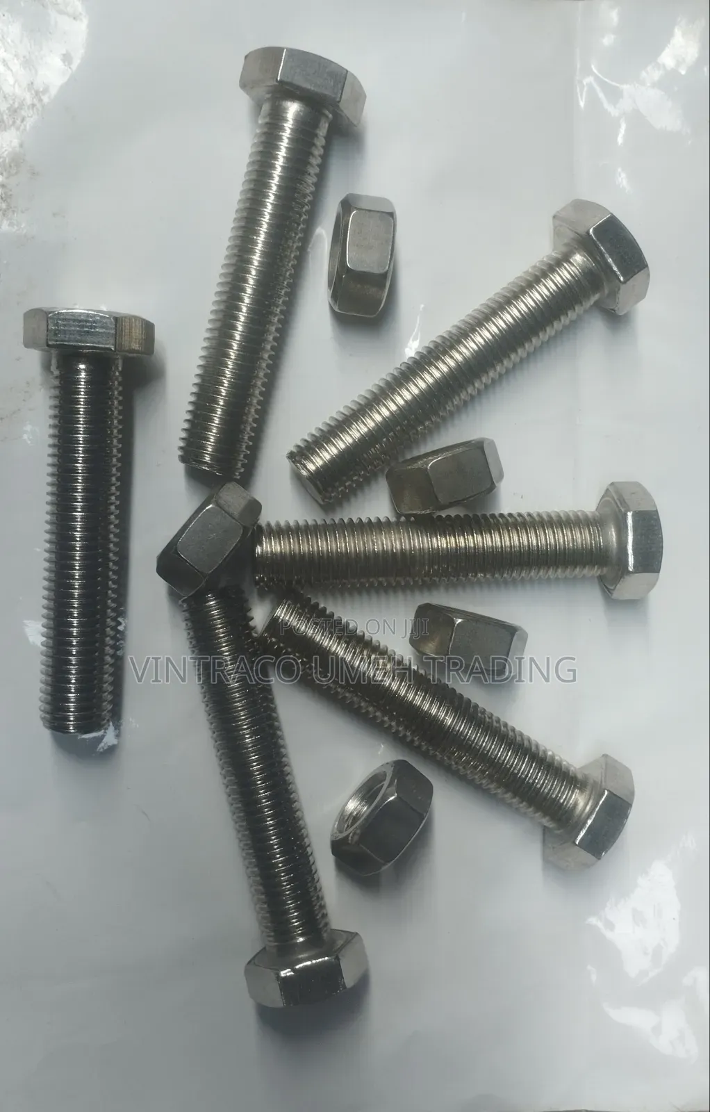 M20 X 100mm Stainless Steel Bolt and Nut