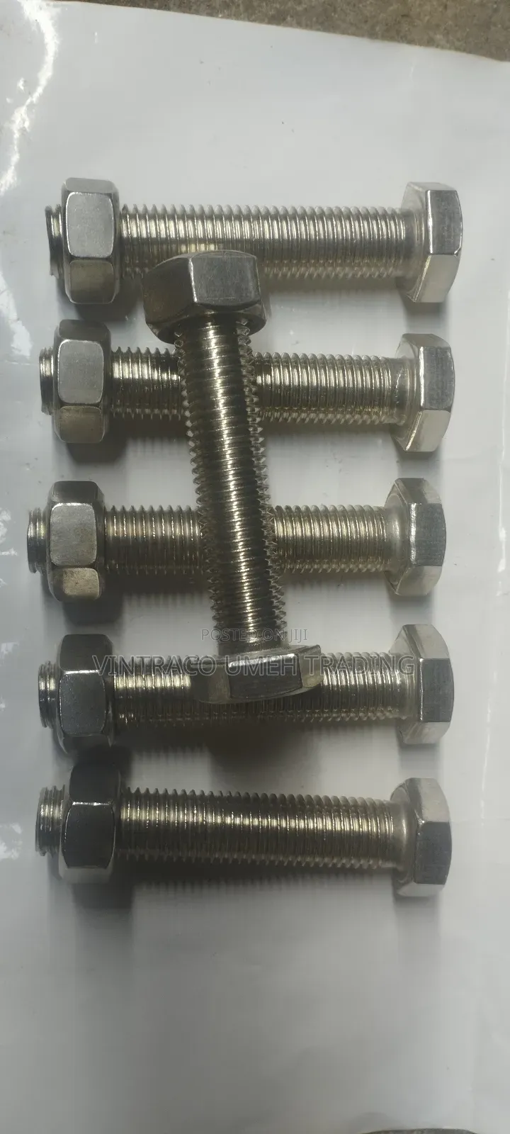 M20 X 100mm Stainless Steel Bolt and Nut