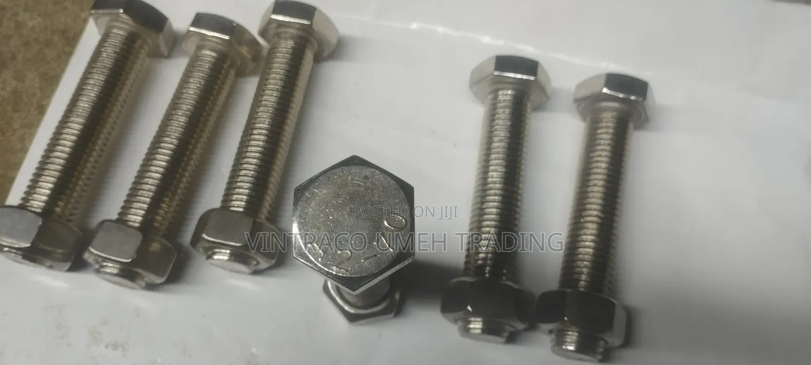 M20 X 100mm Stainless Steel Bolt and Nut