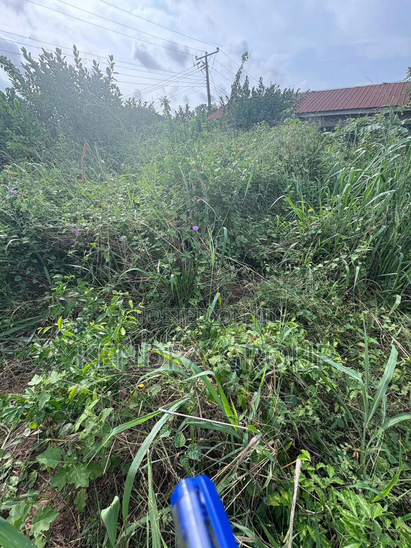 Land for Sale At, Oluodo, Ebute