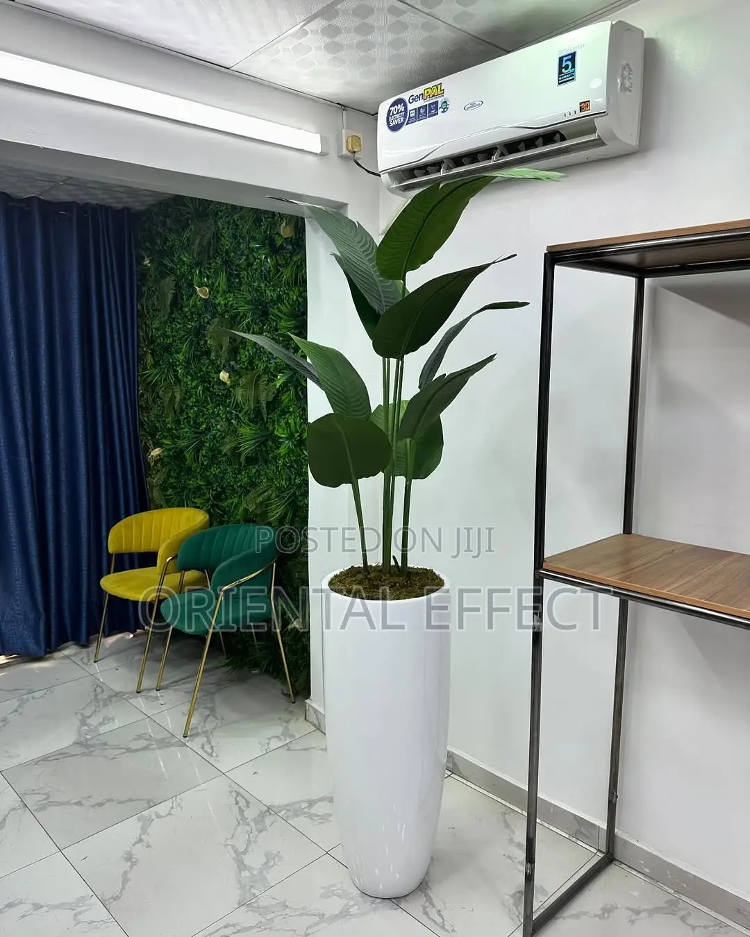 Banana Palm (160cm) With Tall Cylindrical White Pot