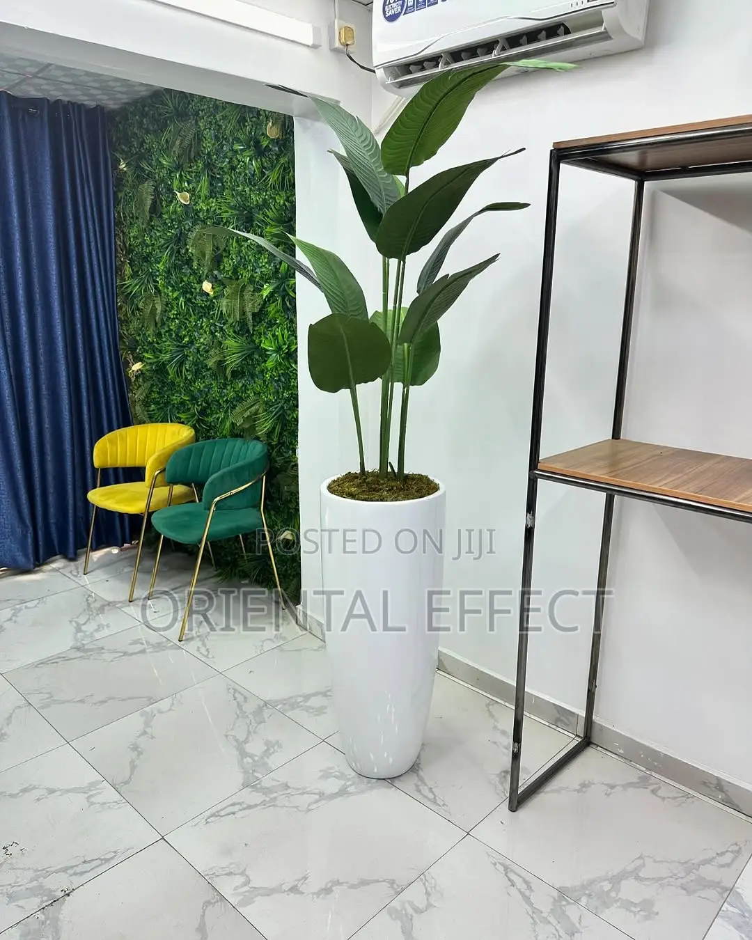 Banana Palm (160cm) With Tall Cylindrical White Pot