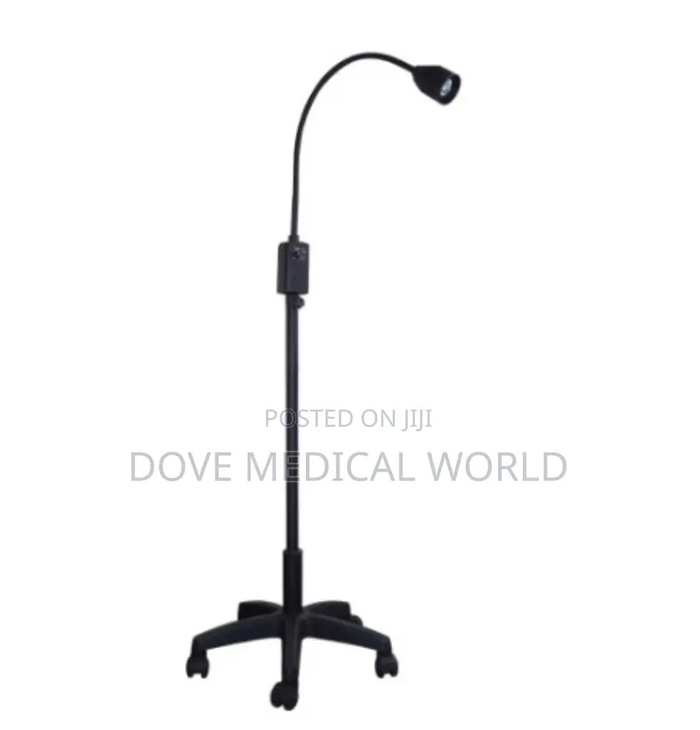 Examination Light