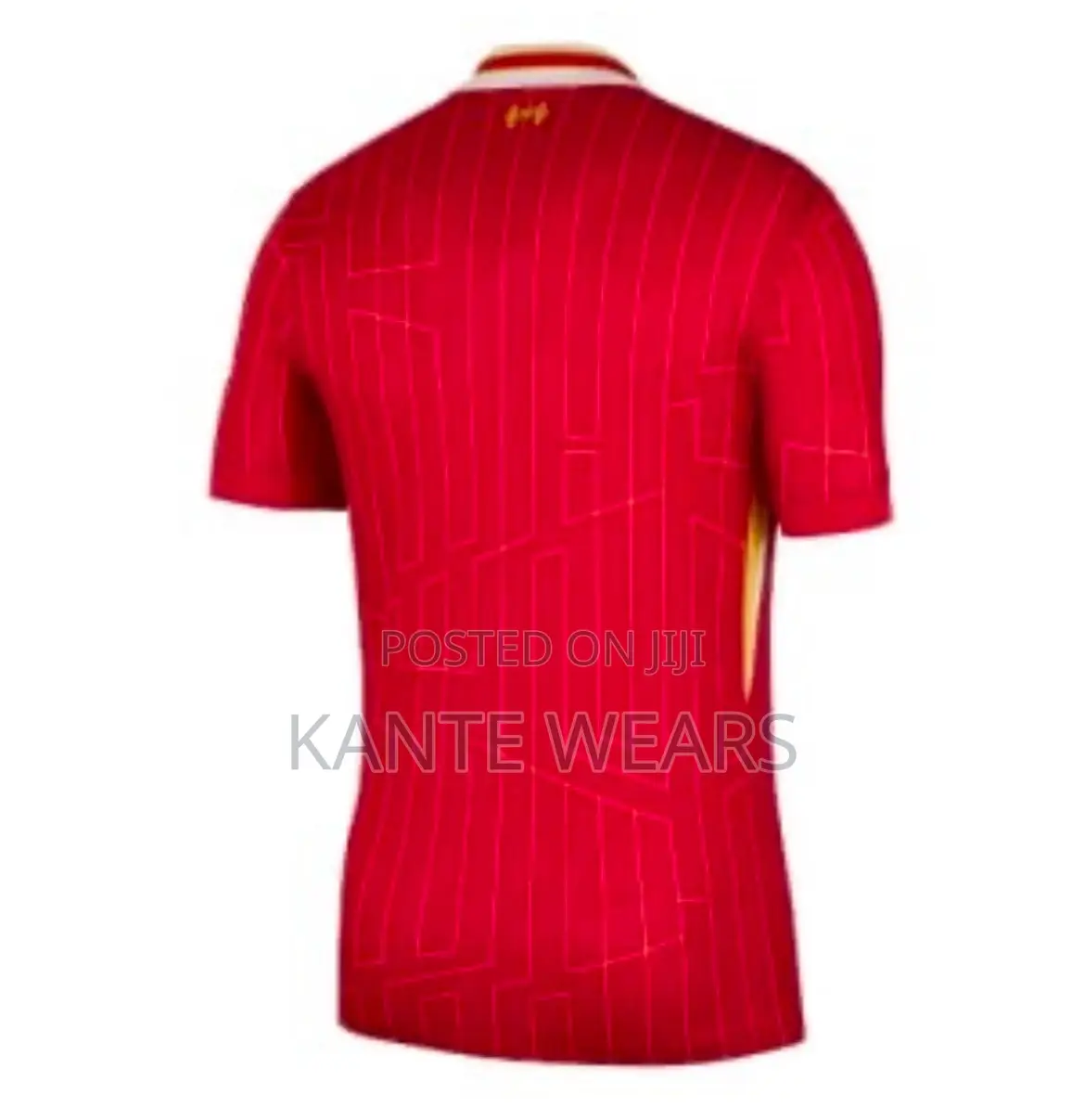 Nike Liverpool 2024/2025 Latest Jersey