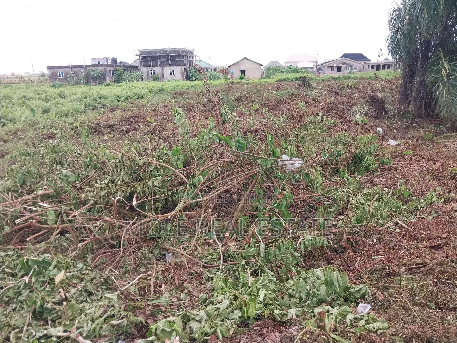2 Plots of Land Facing Isheri Lasu Expressway