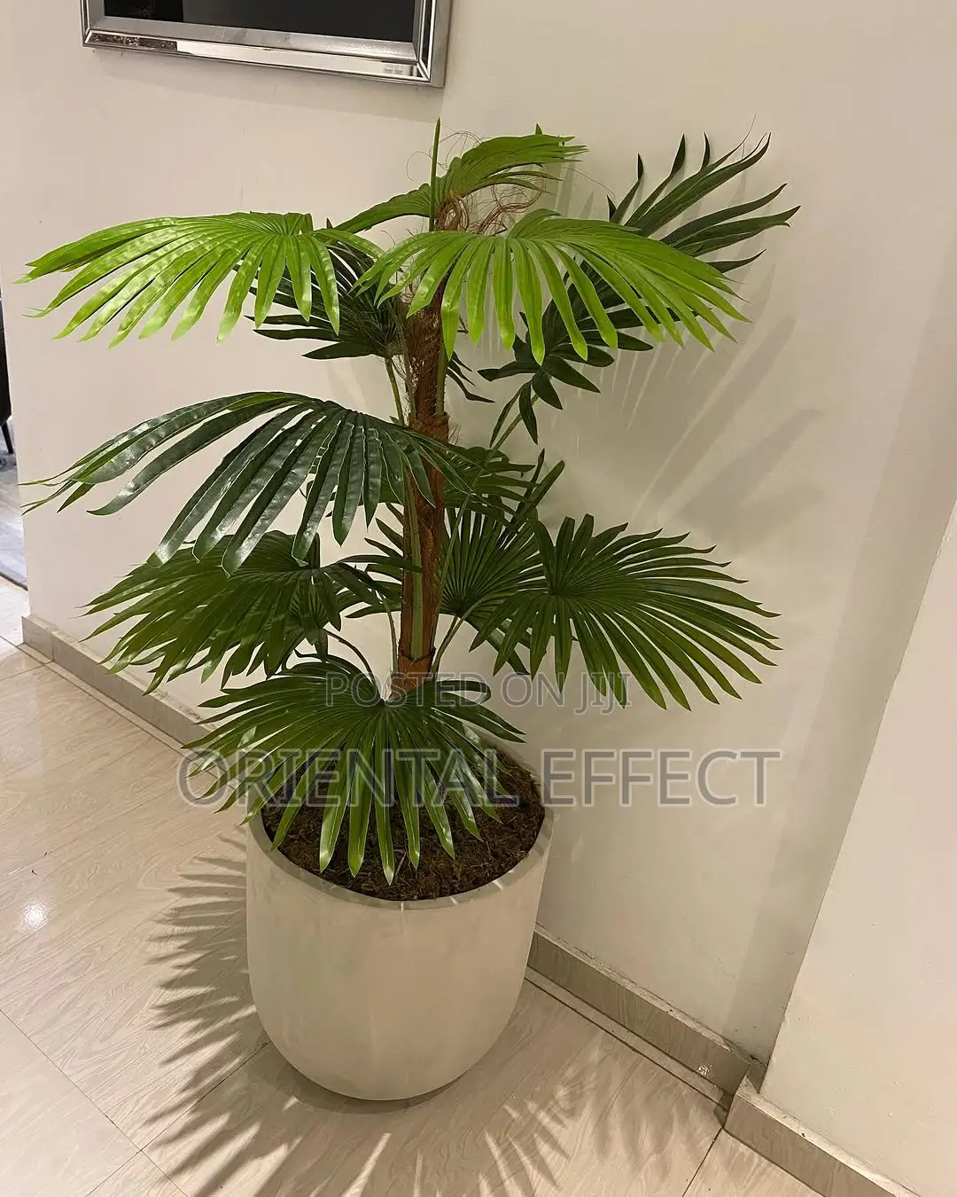 Artificial Fan Palm Plant – 132cm With Nude Orion Pot