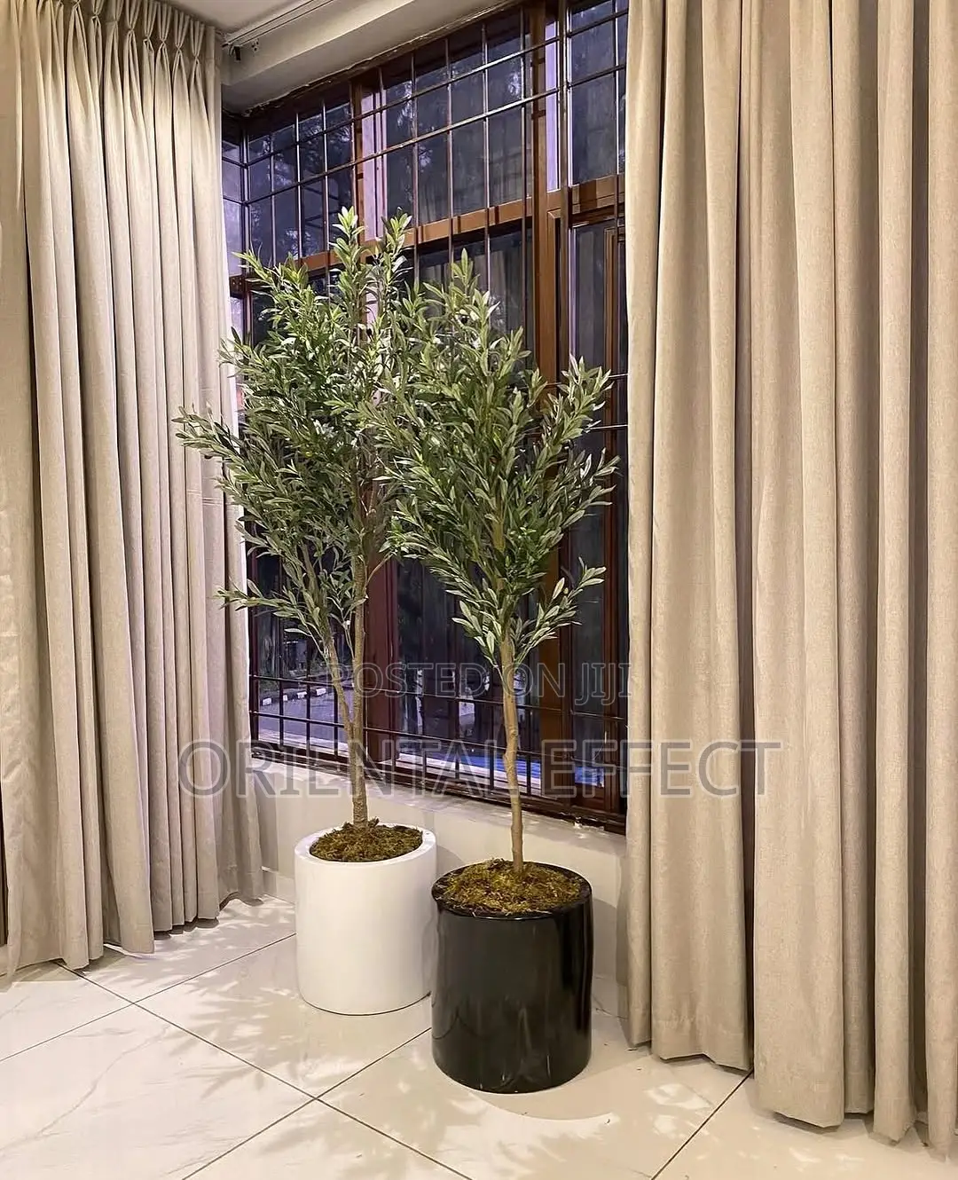 Artificial Olive Tree – 180cm in Low Cylindrical Pot