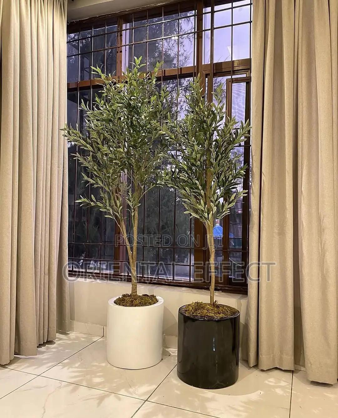 Artificial Olive Tree – 180cm in Low Cylindrical Pot