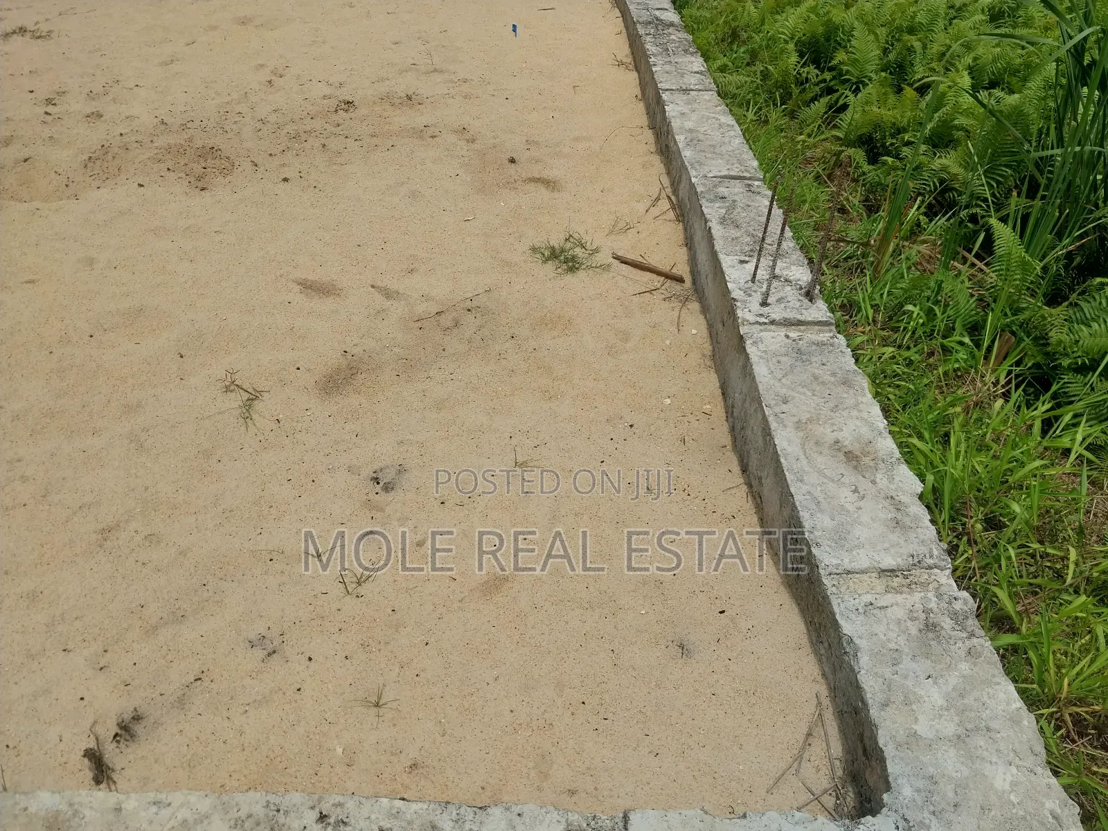 Over 200 Acres of Farmland Odeda Ogun State