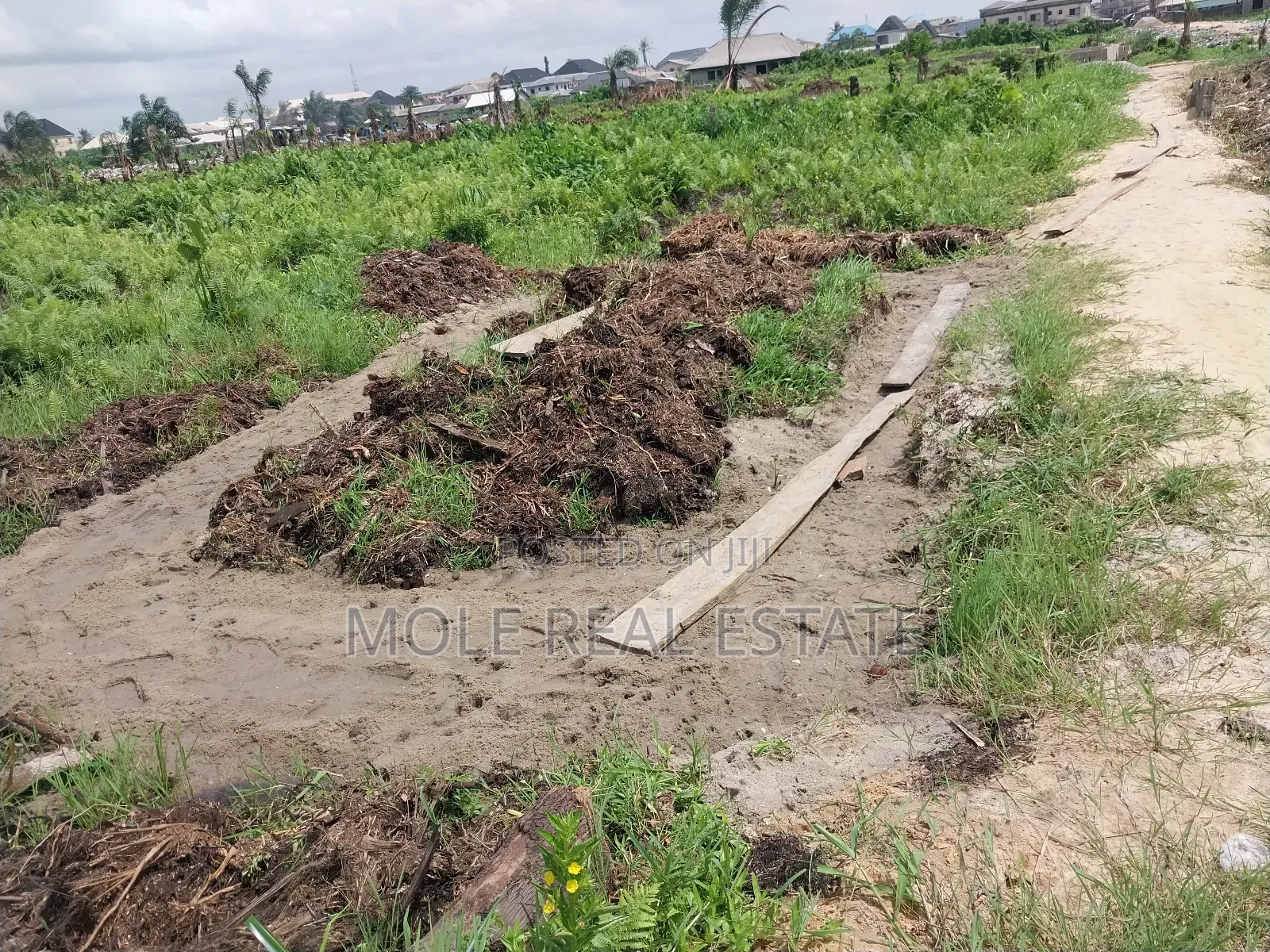 Over 500 Acres of Farmland Mologede Odeda Ogun State