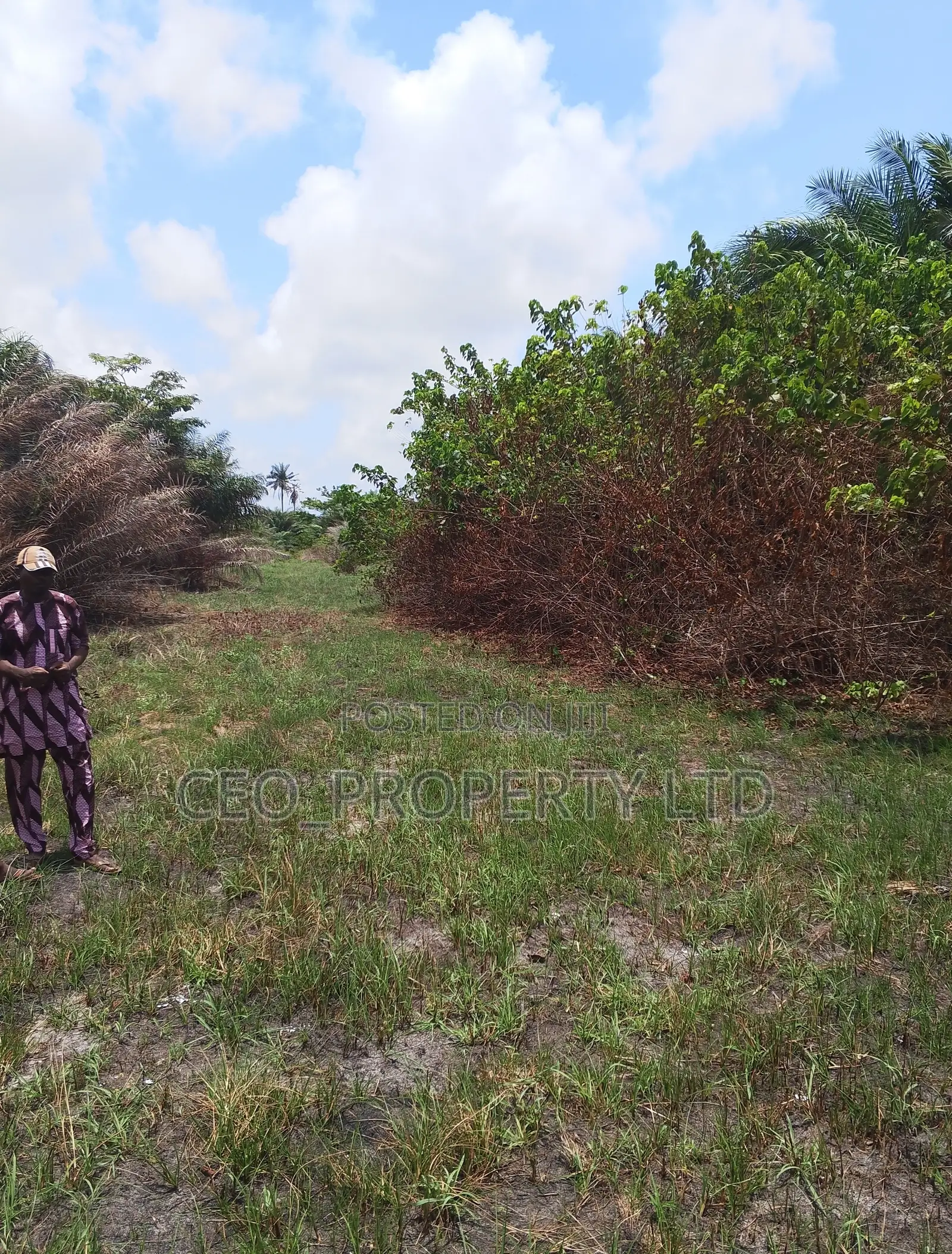 Buy a Plot of Land in Eleko for 10million Behind Amen Estate.