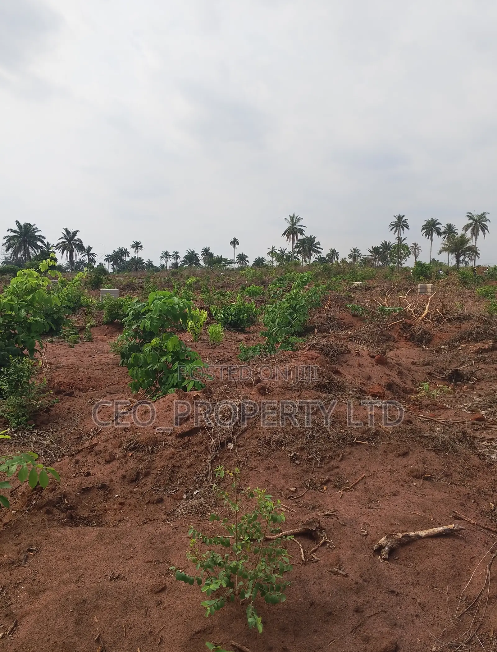 Buy Land in Asaba 5 Million