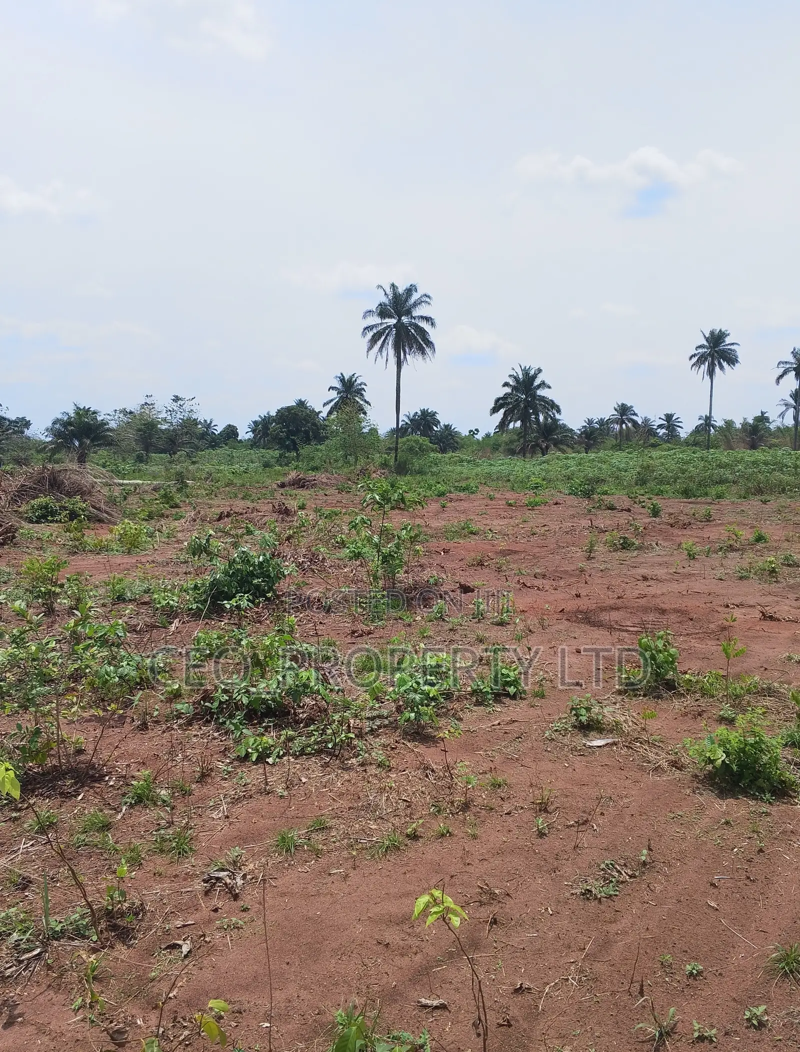 Agunecheibe Luxury Home Asaba Selling 3million