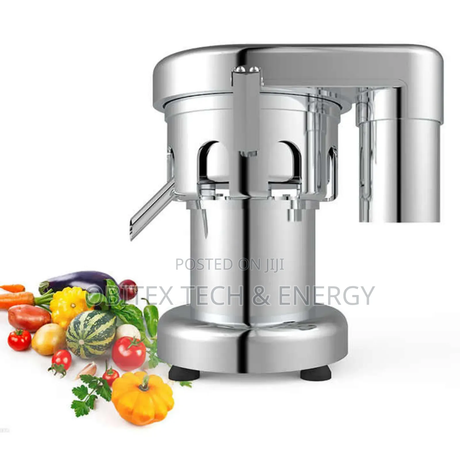 Wf-A3000 Commercial Stainless Steel Juice Extractor.