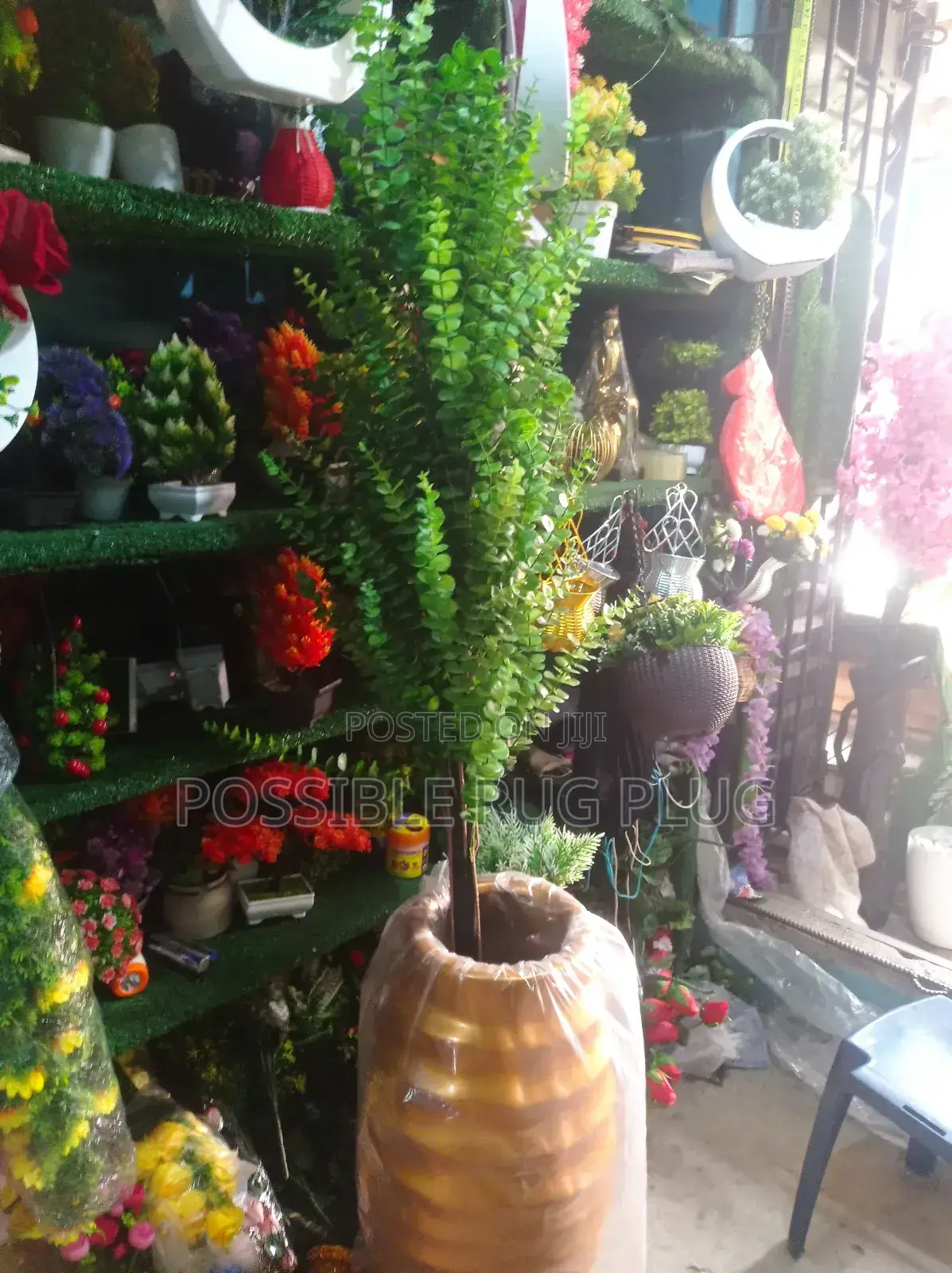 Indoor Flower