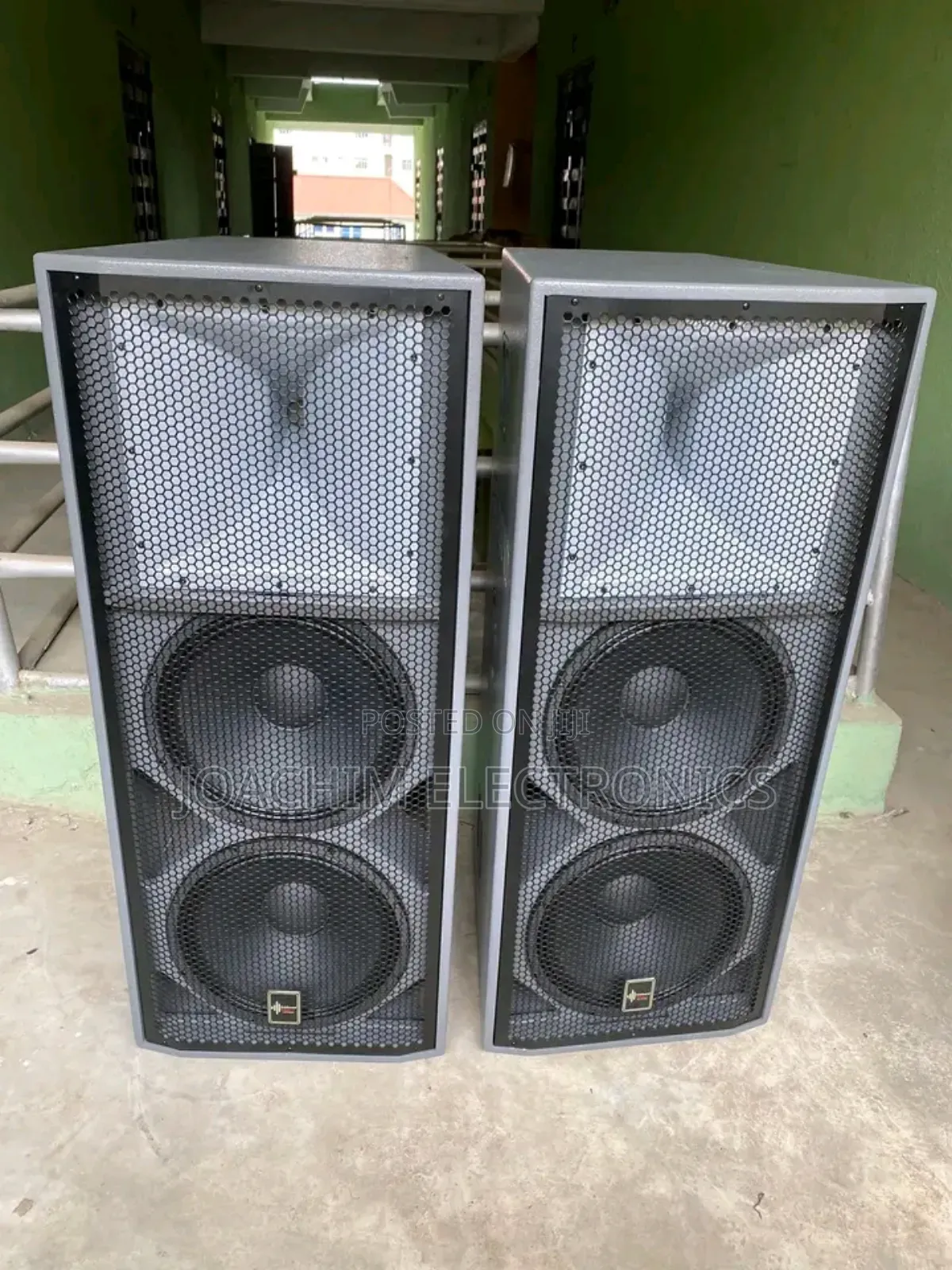Ariz Sound Double Big Magnet SPK