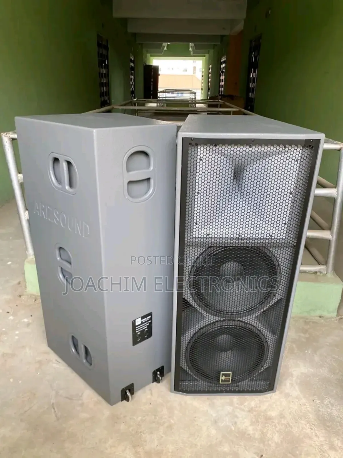 Ariz Sound Double Big Magnet SPK