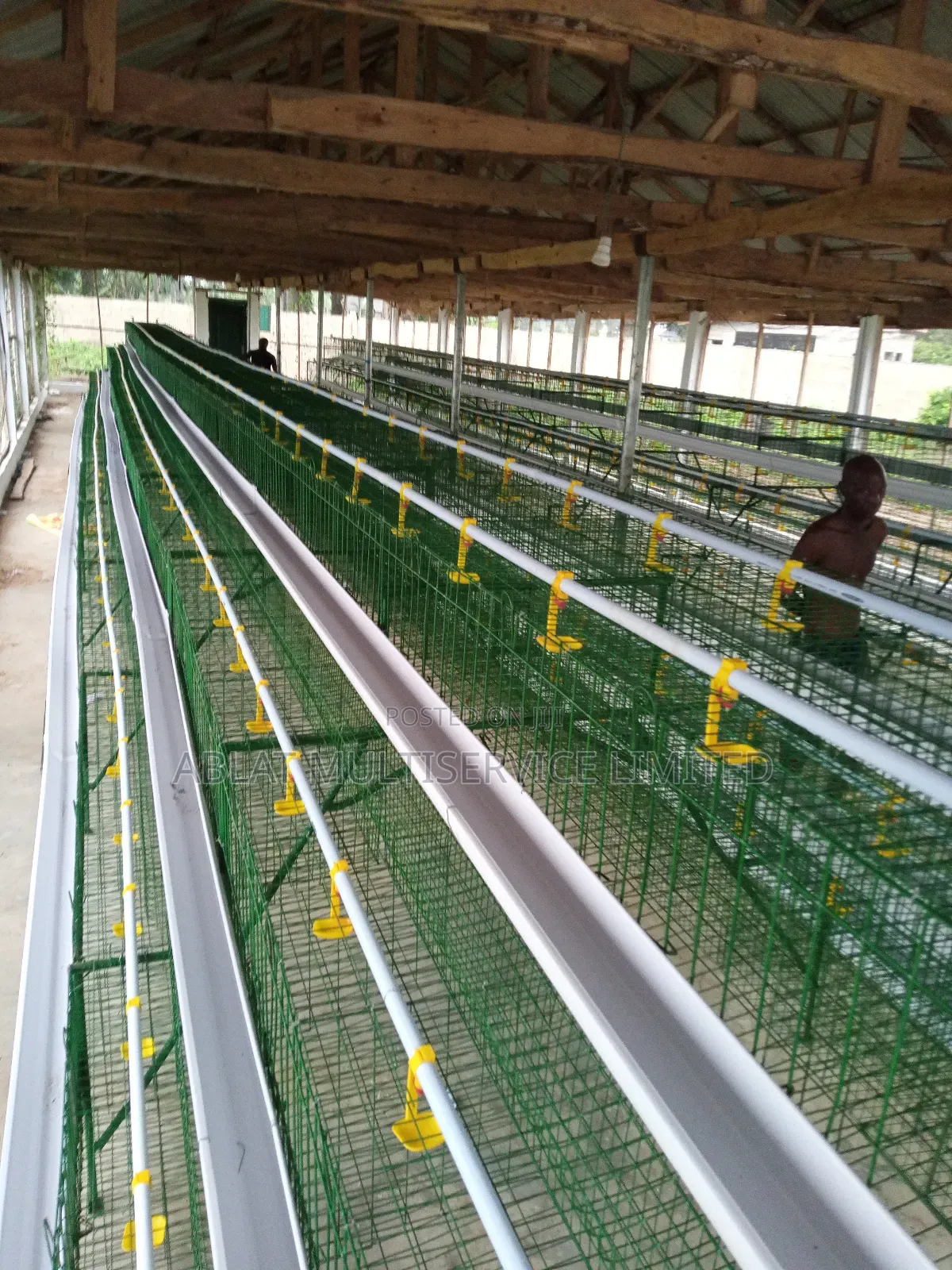 Poultry Cage for Famers Layers Birds