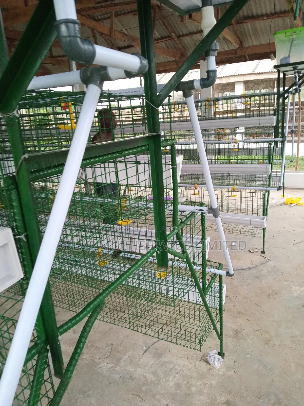 Poultry Cage for Famers Layers Birds