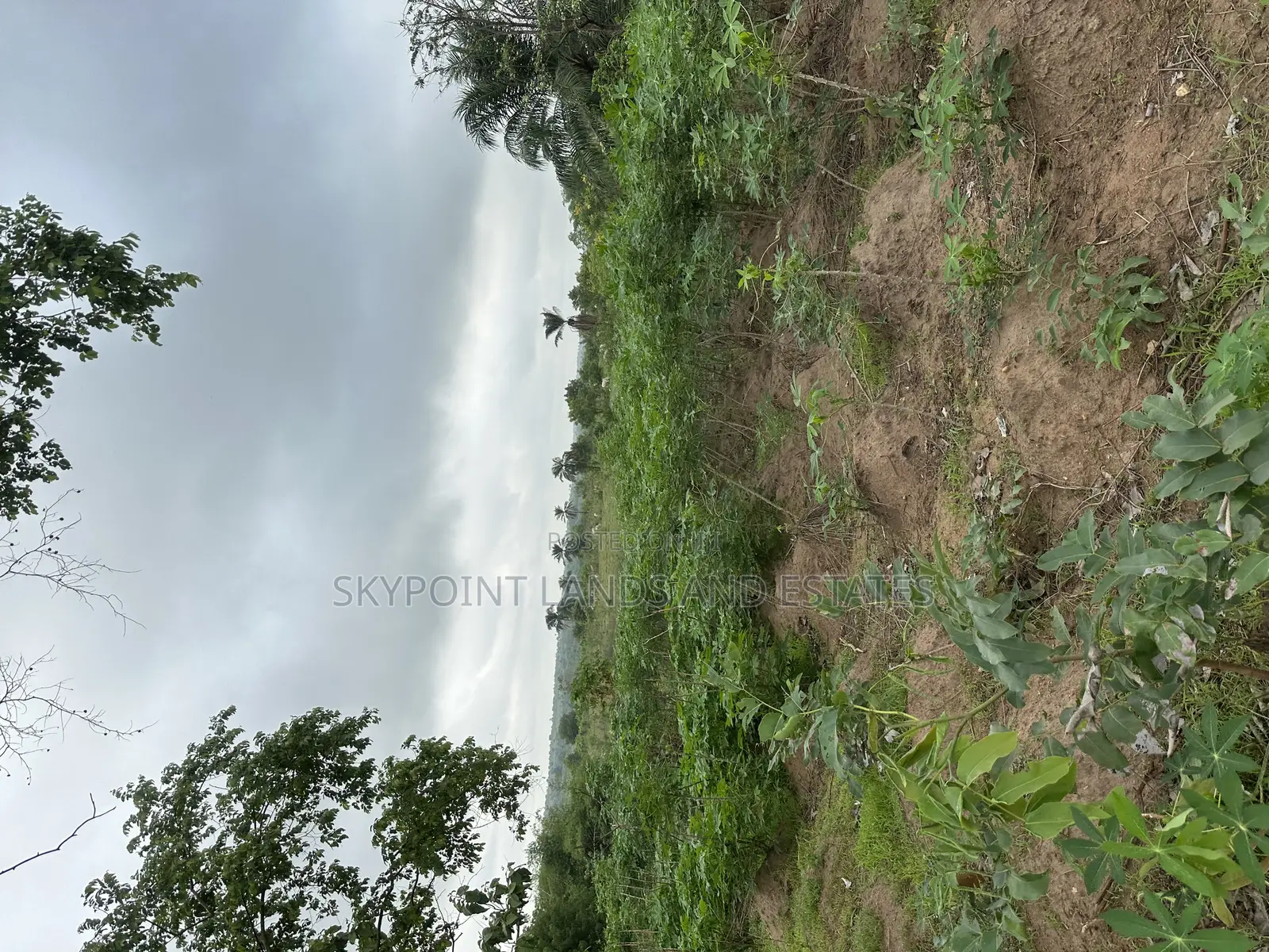 2000 Acres at Itesiwaju Local Government, Off Isy to Saki Rd