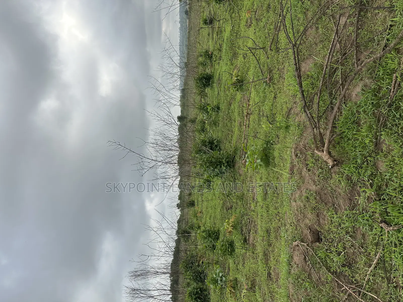 2000 Acres at Itesiwaju Local Government, Off Isy to Saki Rd