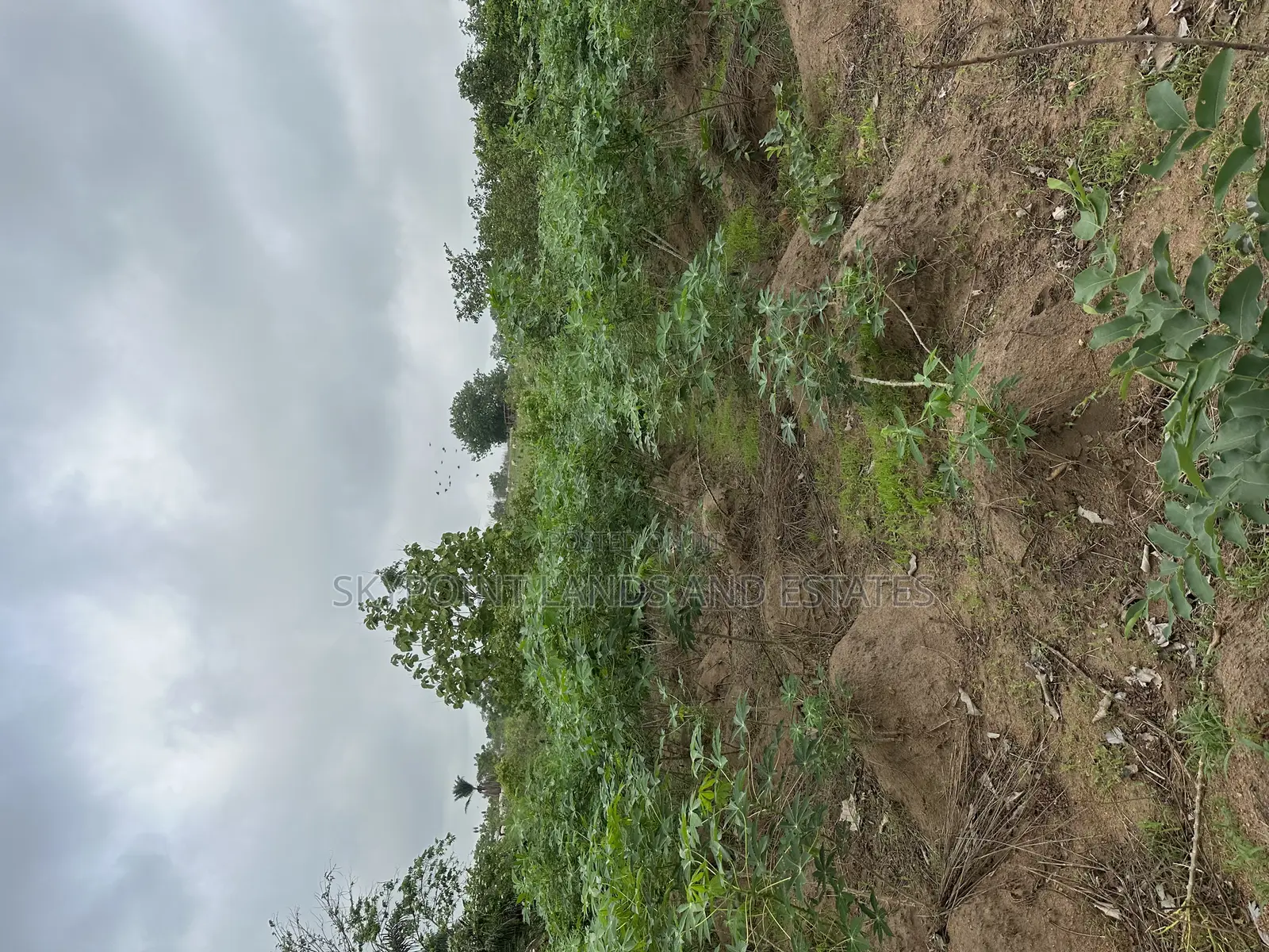 2000 Acres at Itesiwaju Local Government, Off Isy to Saki Rd