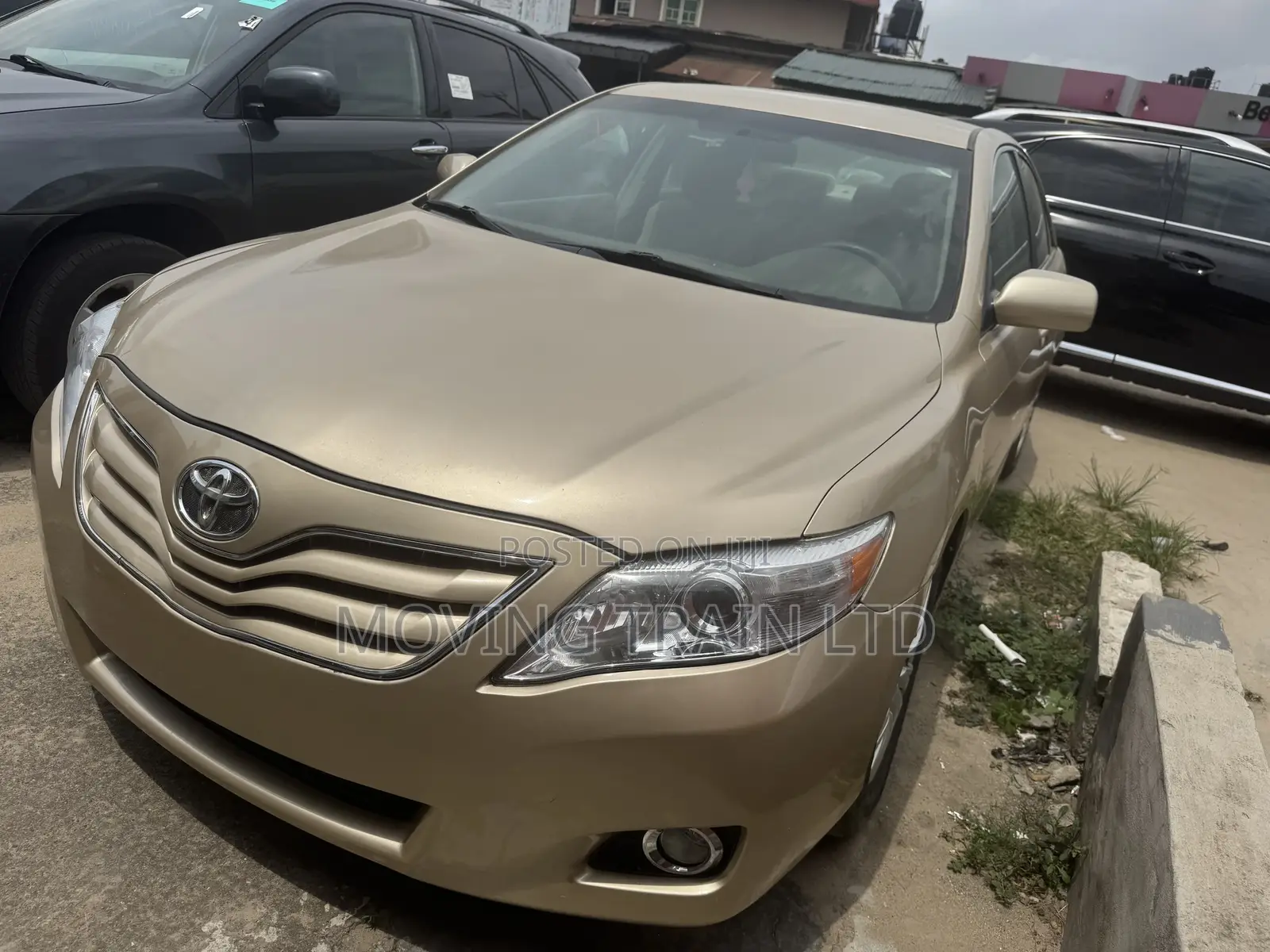Toyota Camry LE 4dr Sedan (2.5L 4cyl 6AM) 2010 Gold