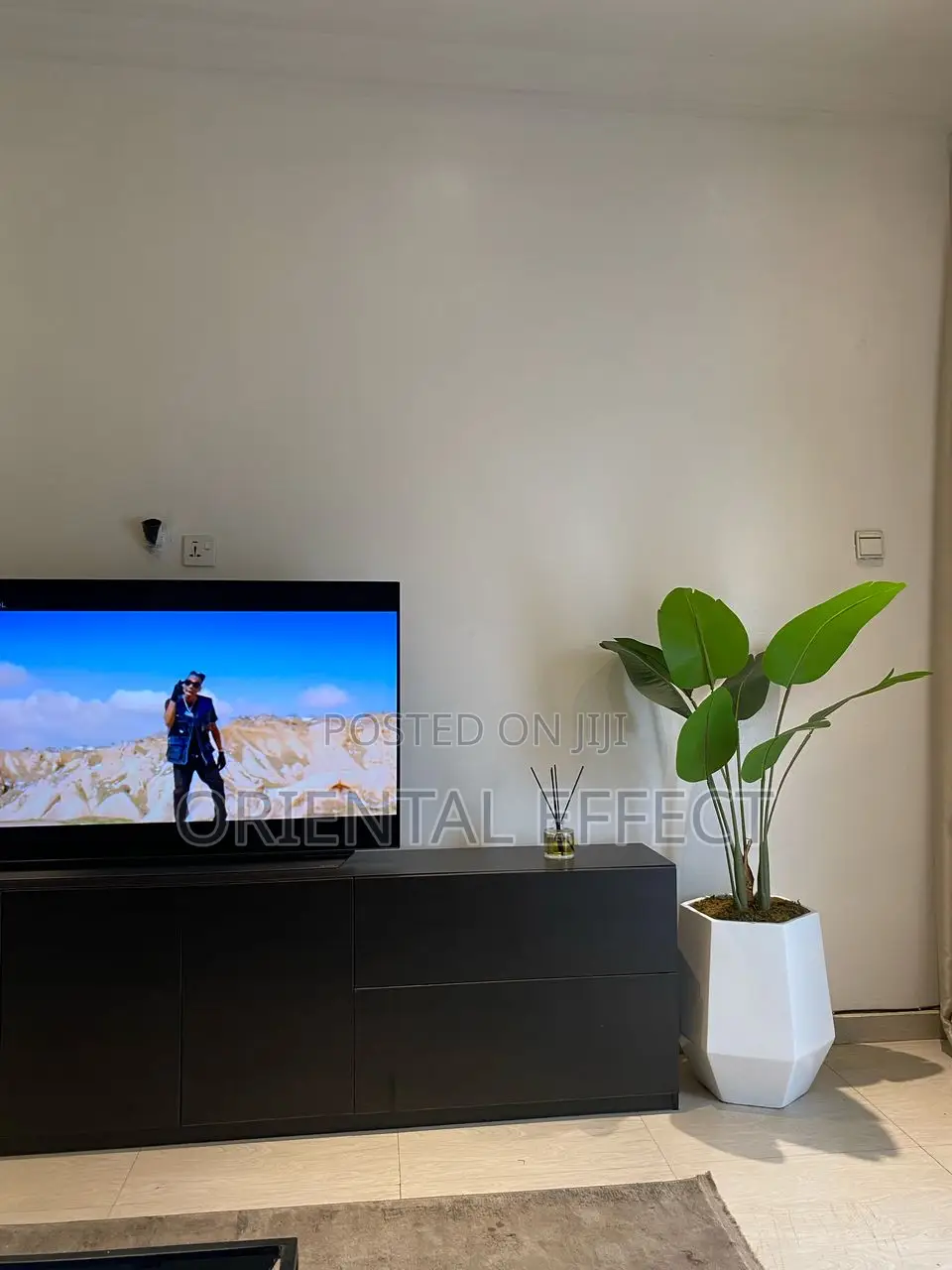 Turrim Pot With Banana Palm Plant 131cm