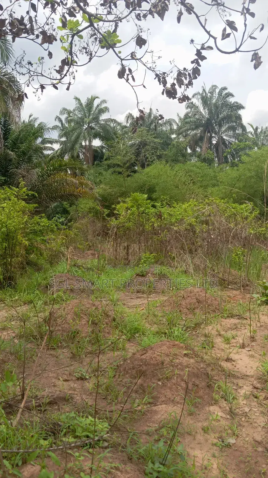 A Plot of Land for Sale at Isiagu Awka