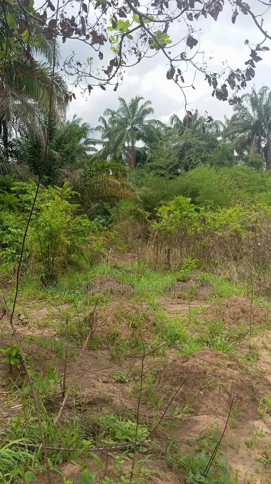 A Plot of Land for Sale at Isiagu Awka