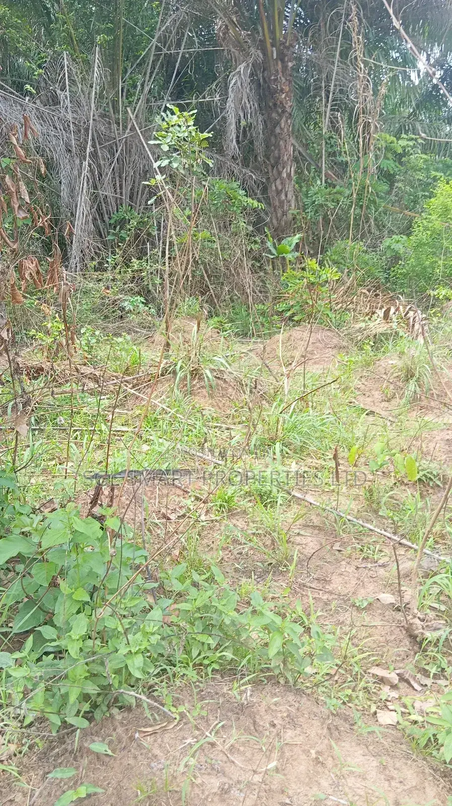 A Plot of Land for Sale at Isiagu Awka