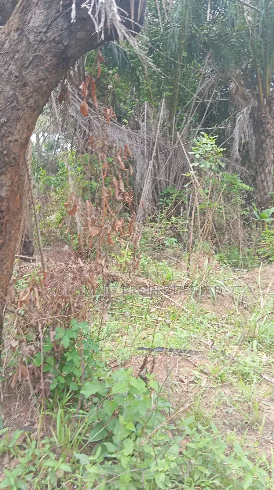 A Plot of Land for Sale at Isiagu Awka