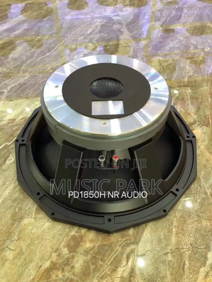 Professional Naked Speaker Nr Audio