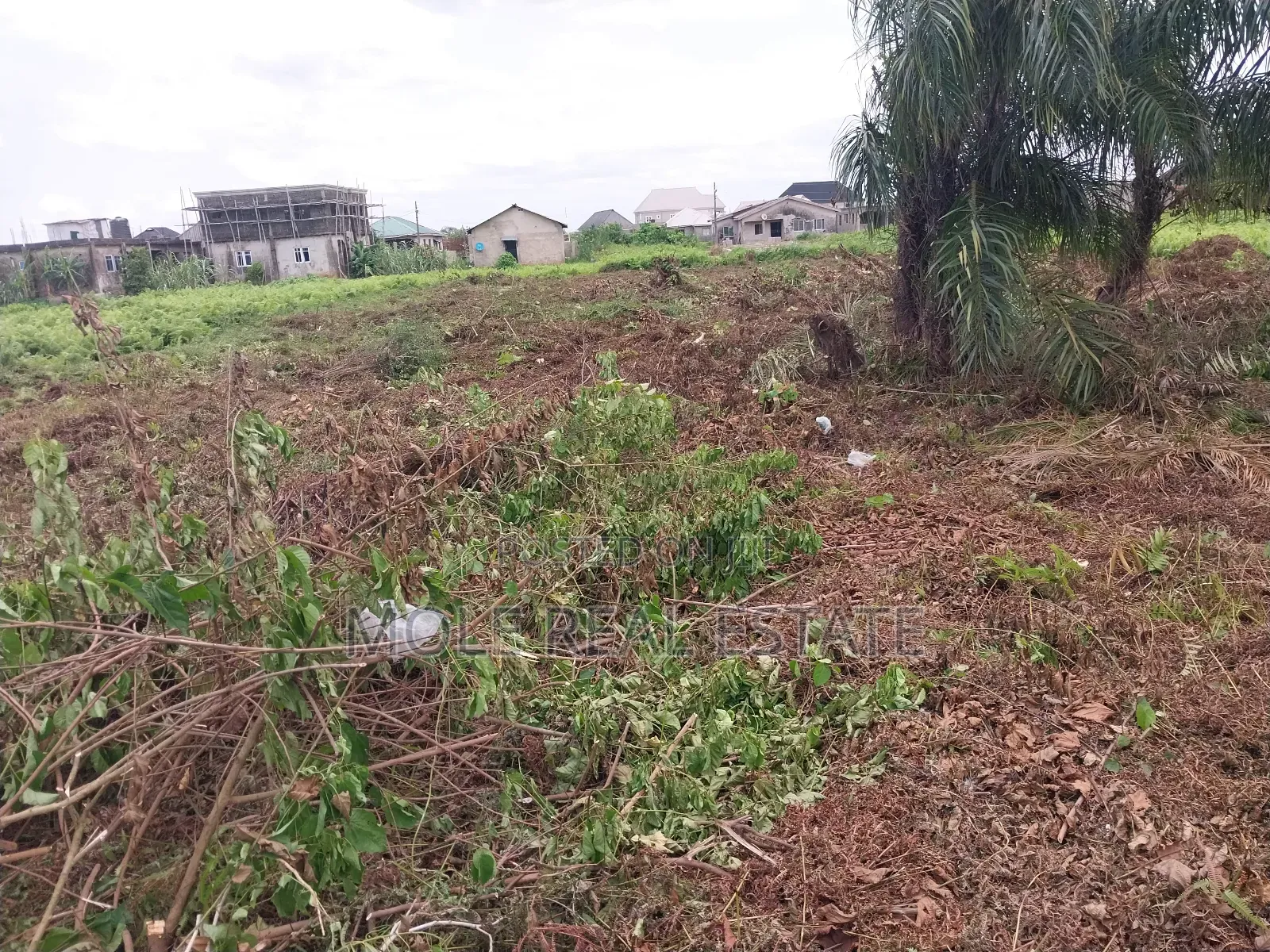 Great Roi Land Size 677, 881sqm Facin Bank Anthony Ikeja