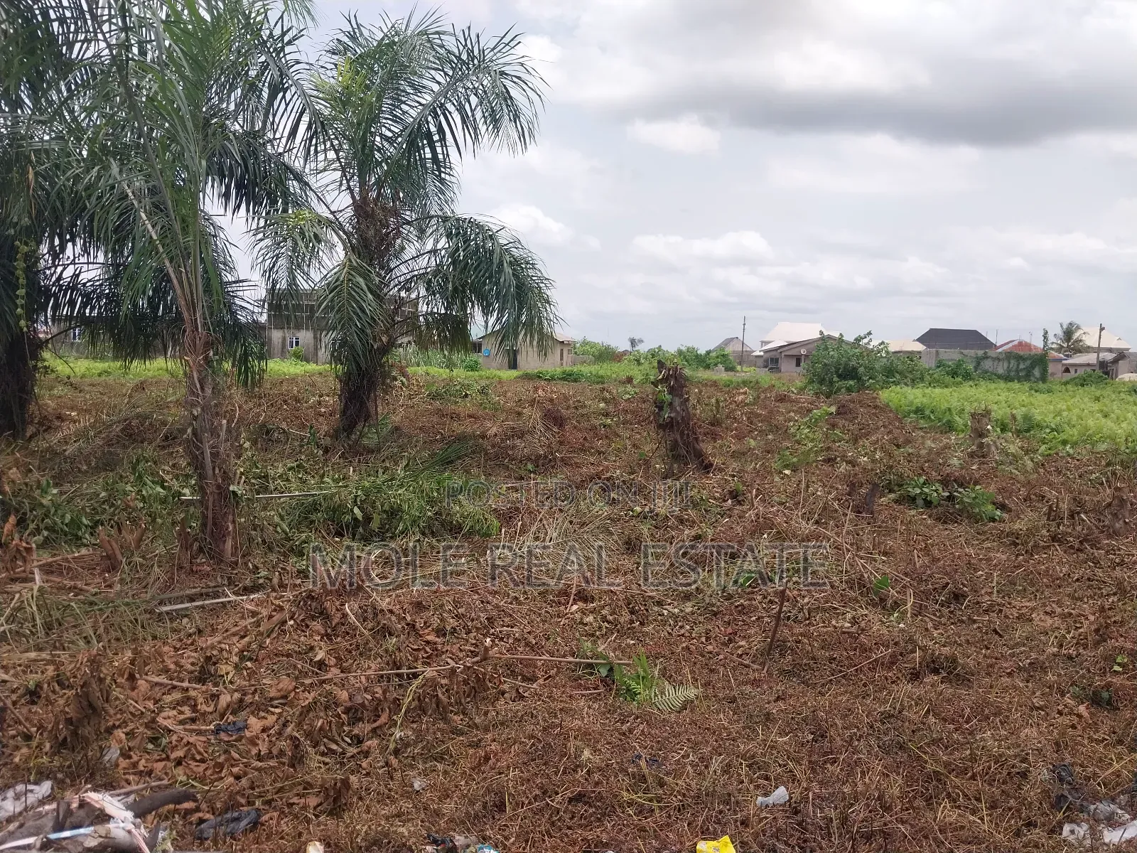 3bdrm Block of Flats in Pedro, Shomolu for sale