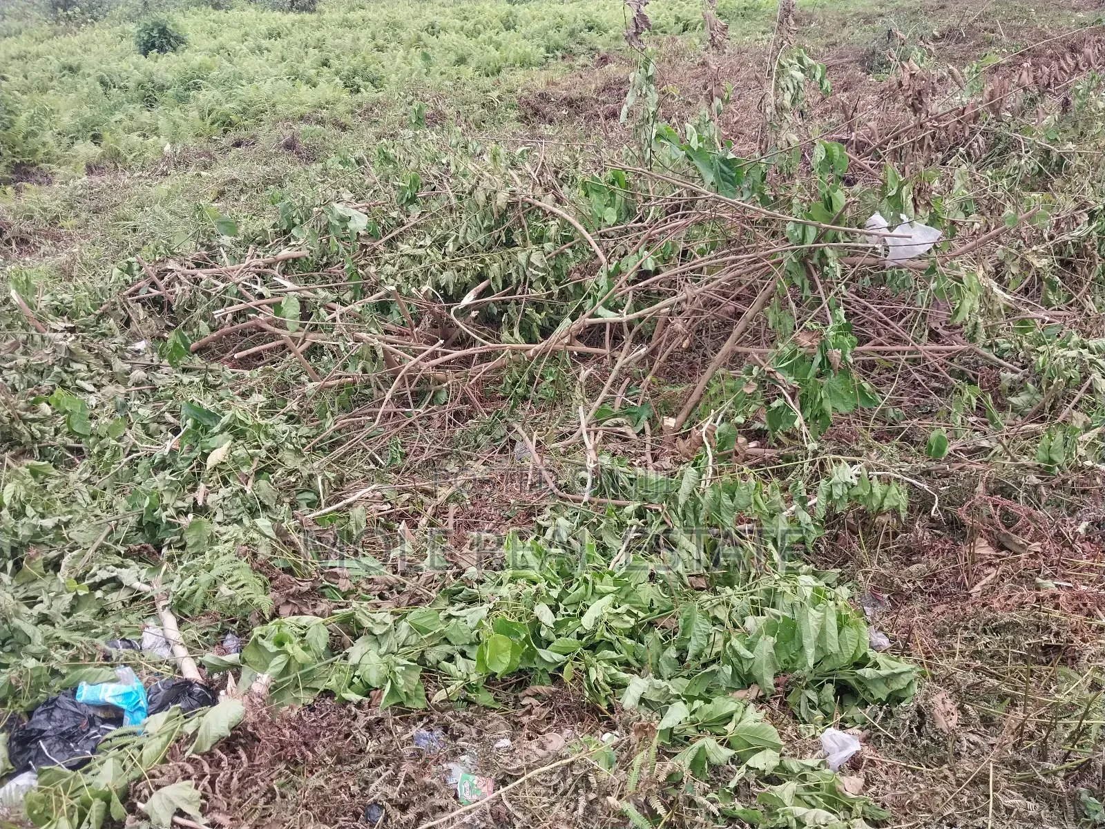 5 Plots of Dry Land Super Roi Facing Badagry Express