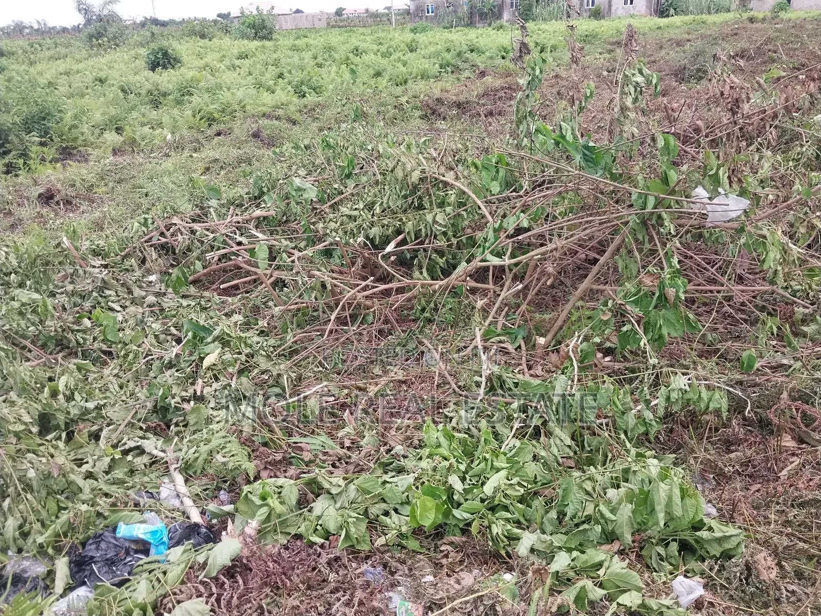 5 Plots of Dry Land Super Roi Facing Badagry Express
