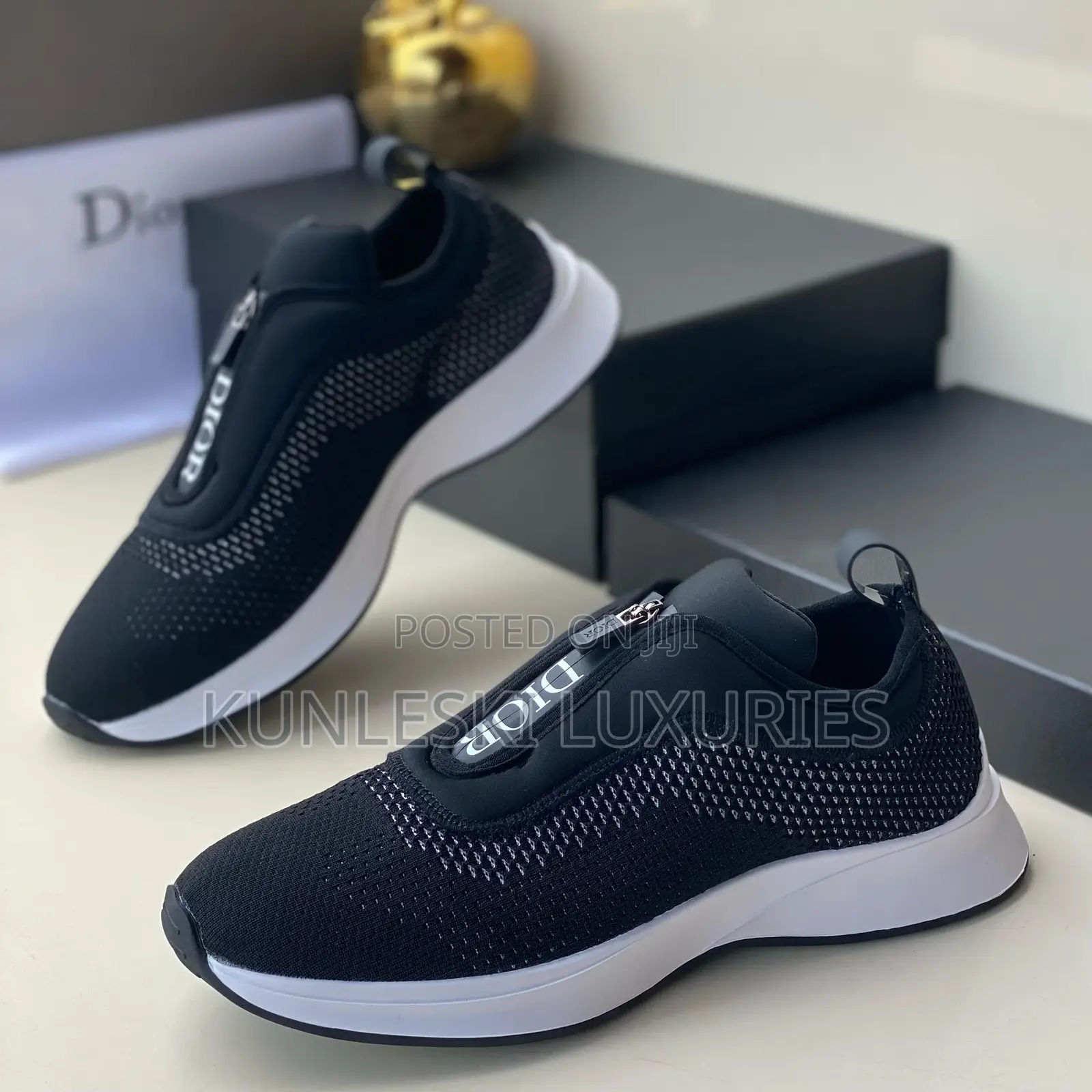 Original Dior Sneakers in Two Colorways