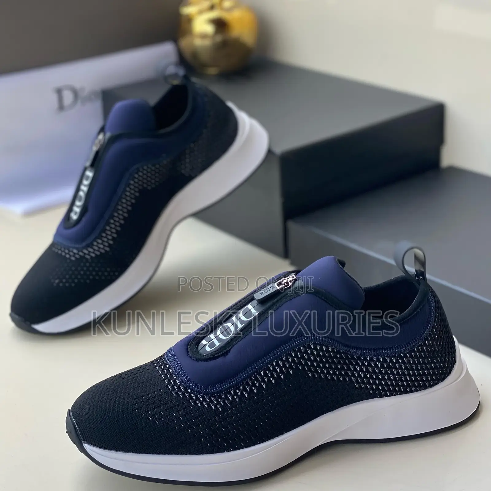 Original Dior Sneakers in Two Colorways